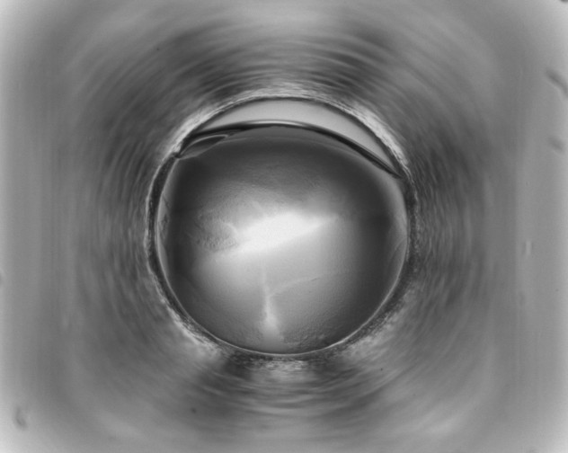 X0000094370845200711021528