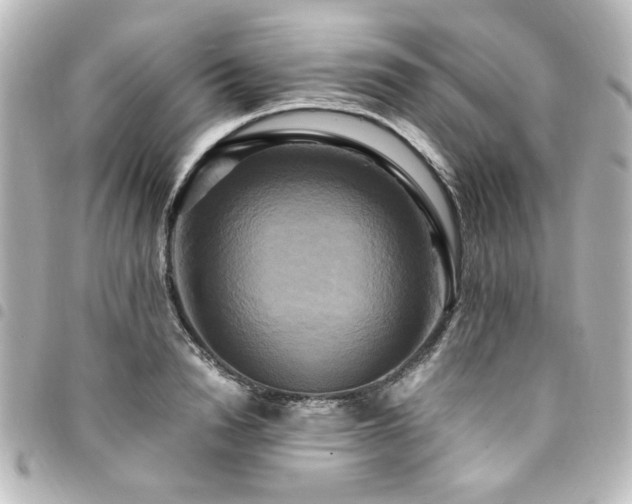 X0000094370846200711021528
