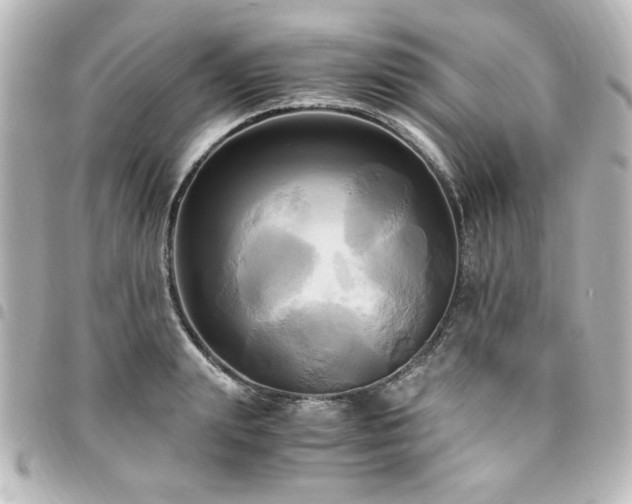 X0000094370847200711021528