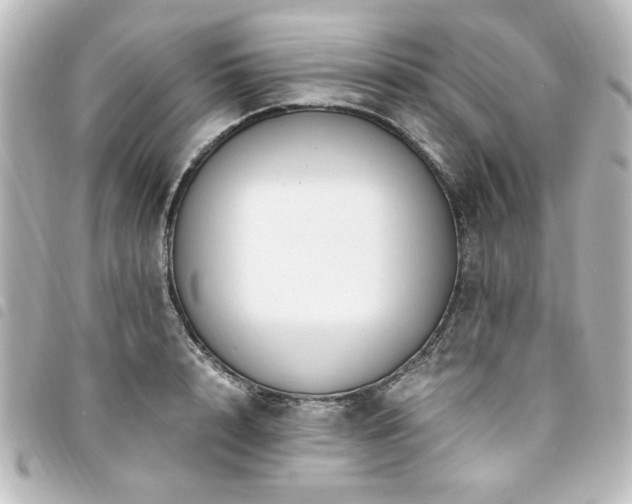 X0000094370848200711021528
