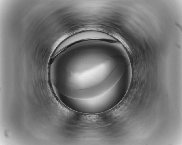 X0000094370853200711021528