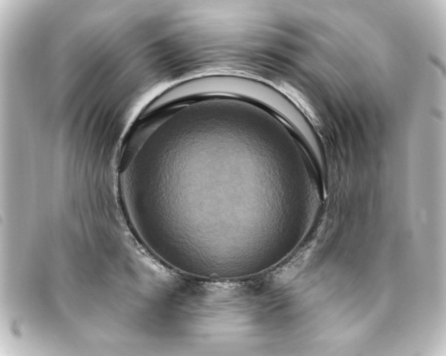 X0000094370854200711021528