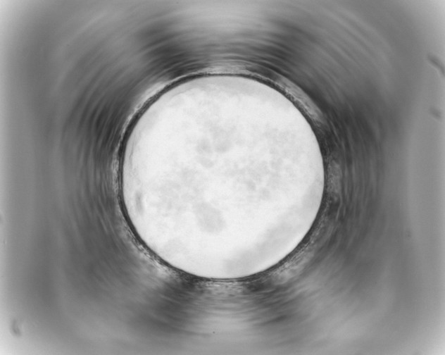 X0000094370856200711021528