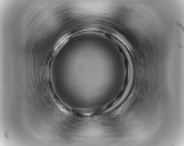 X0000094370858200711021529