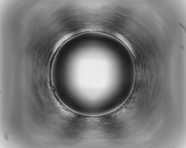 X0000094370861200711021529