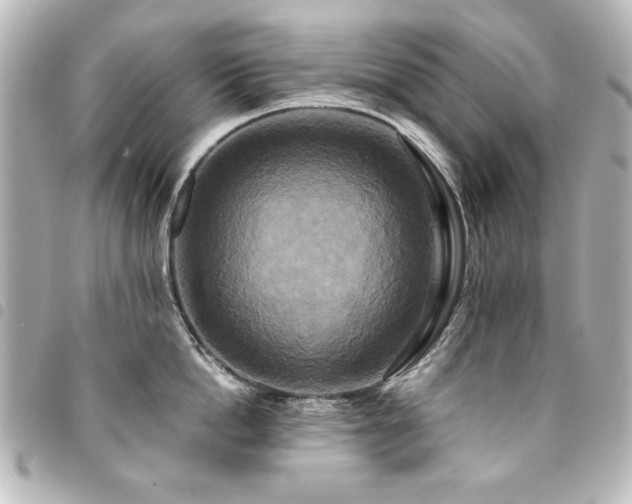 X0000094370862200711021529
