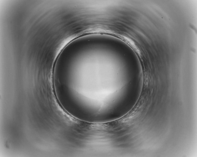 X0000094370863200711021529