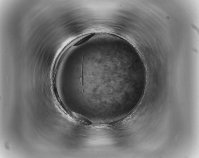 X0000094370864200711021529