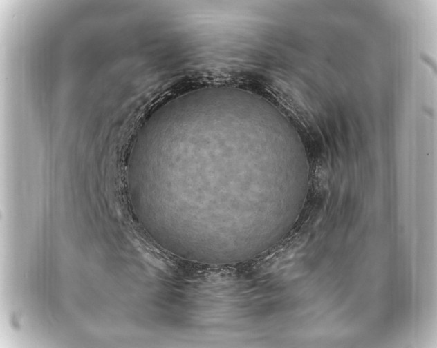 X0000094370865200711021528