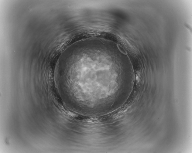 X0000094370867200711021528