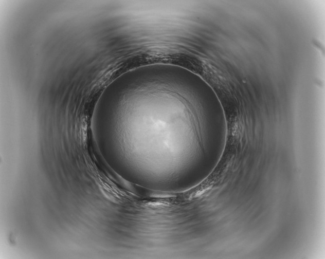 X0000094370868200711021528