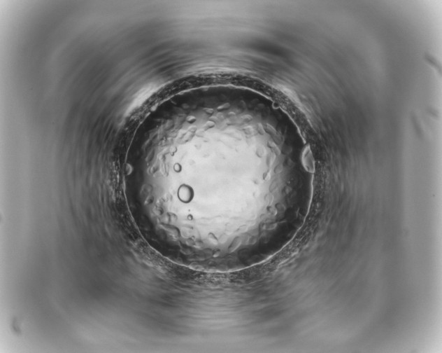 X0000094370871200711021528