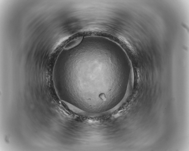 X0000094370872200711021528