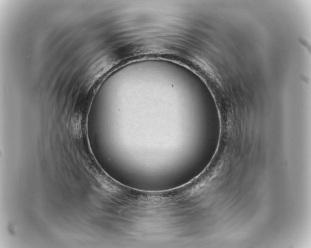 X0000094370873200711021528