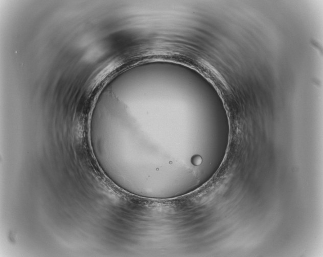 X0000094370874200711021528