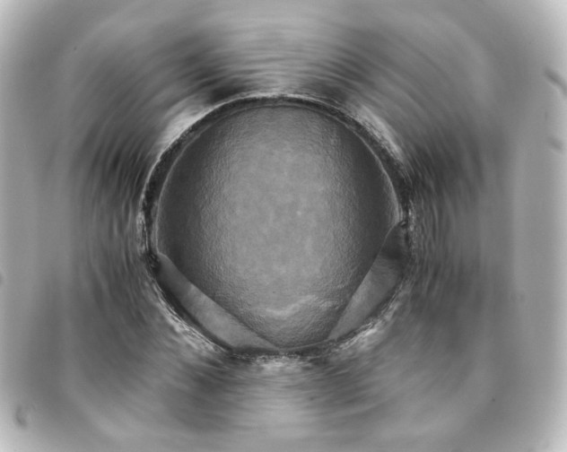 X0000094370876200711021528