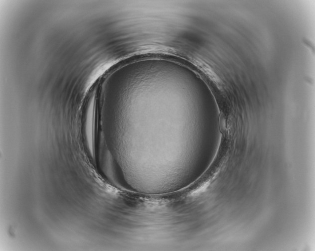 X0000094370877200711021528