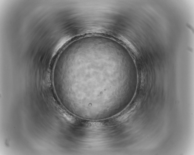 X0000094370878200711021528