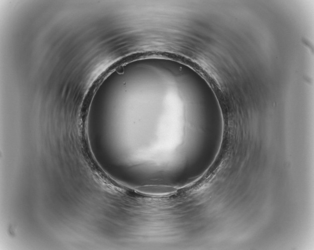 X0000094370879200711021528