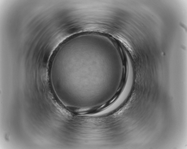 X0000094370880200711021528