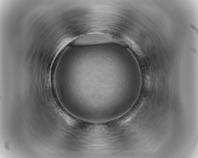 X0000094370884200711021528