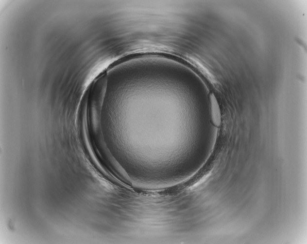 X0000094370885200711021528