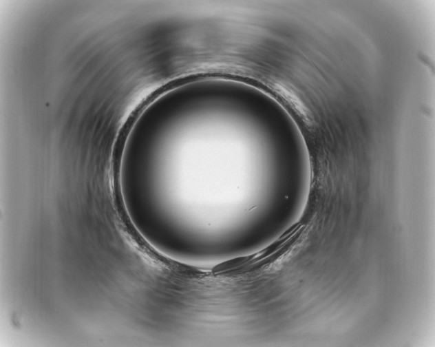 X0000094370888200711021528