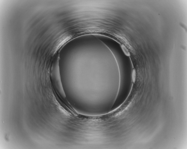 X0000094370889200711021528