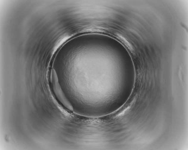 X0000094370893200711021528