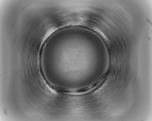X0000094370894200711021528