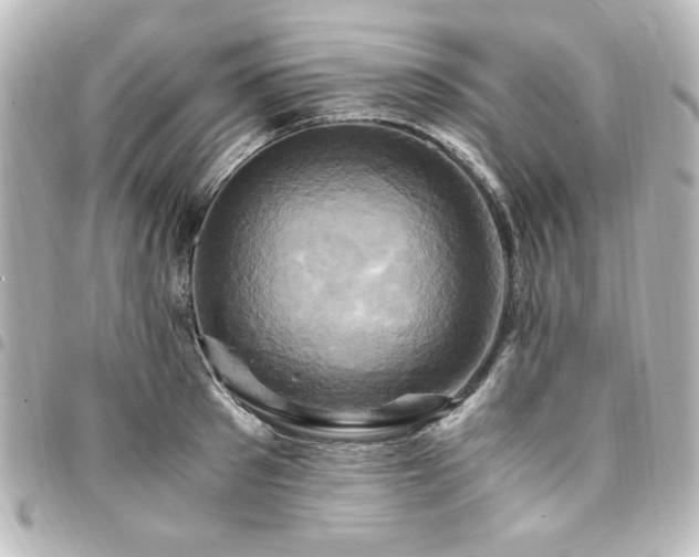 X0000094370897200711021528