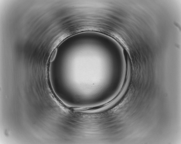 X0000094370898200711021528