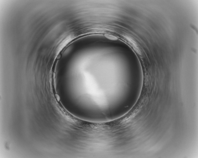 X0000094370899200711021528