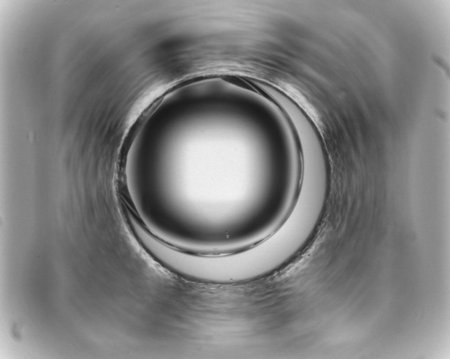 X0000094370901200711021528