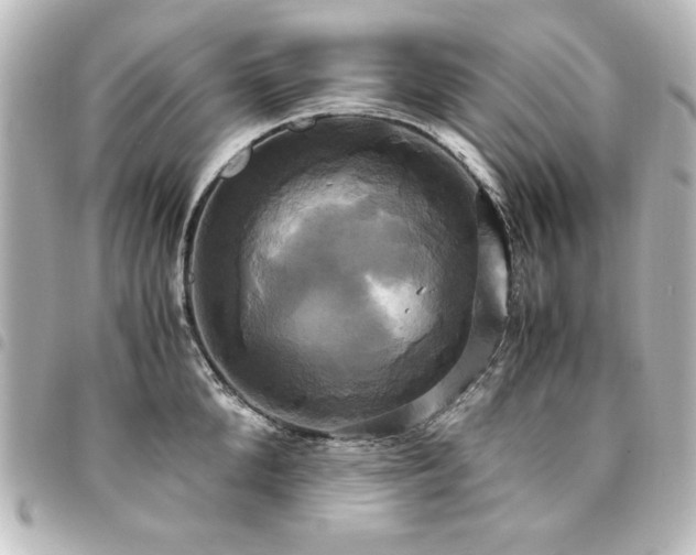 X0000094370904200711021528