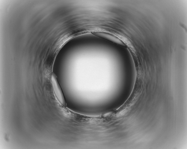 X0000094370905200711021528