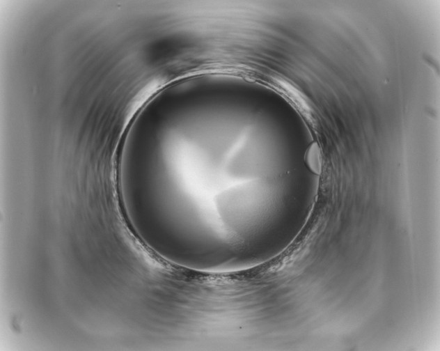 X0000094370907200711021528