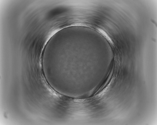 X0000094370908200711021528
