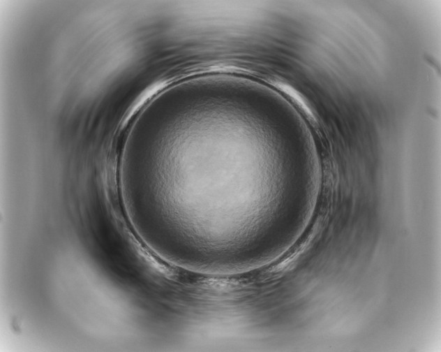 X0000094370910200711021527