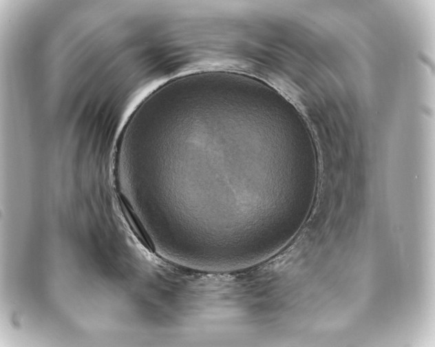 X0000094370912200711021527