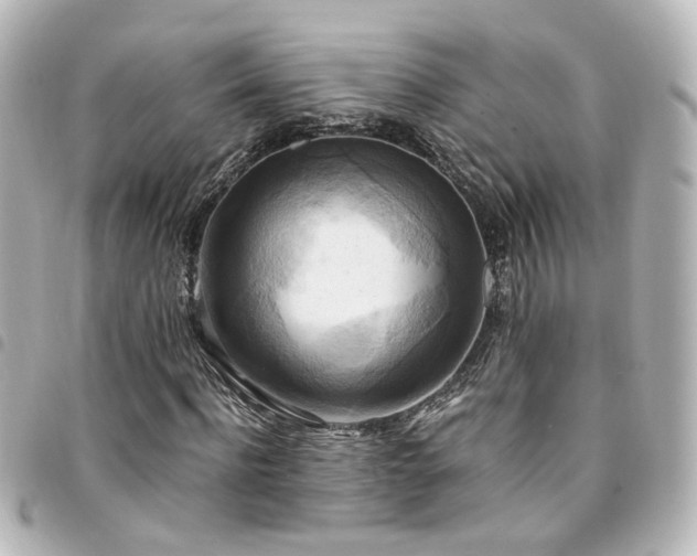 X0000094370916200711021527