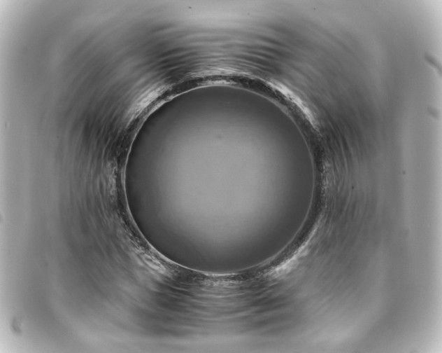 X0000094370921200711021527