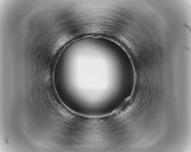 X0000094370922200711021527