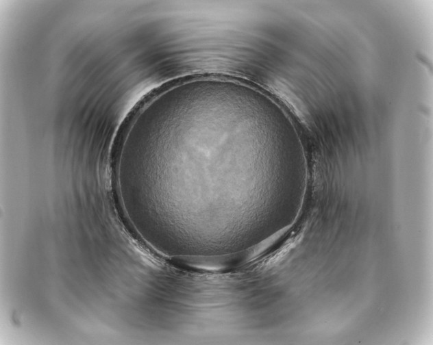 X0000094370924200711021527