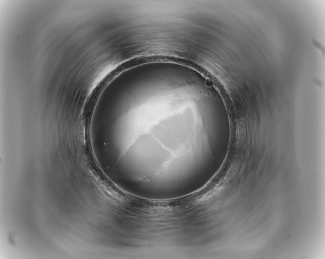 X0000094370925200711021527