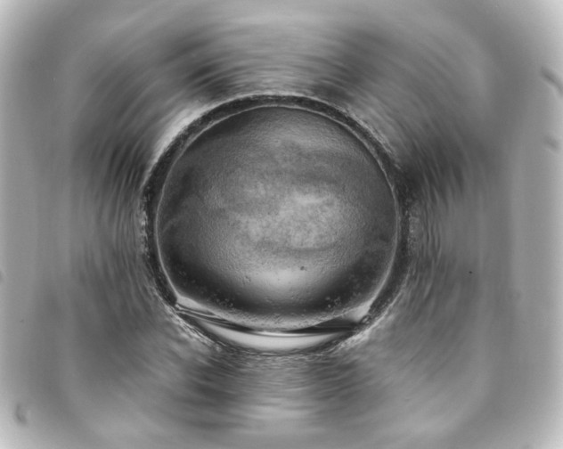 X0000094370926200711021527