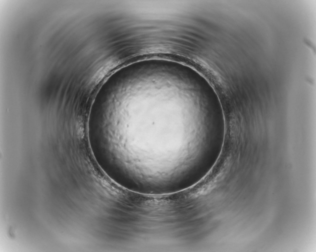 X0000094370929200711021527