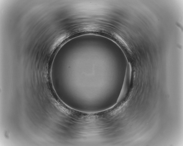 X0000094370930200711021527