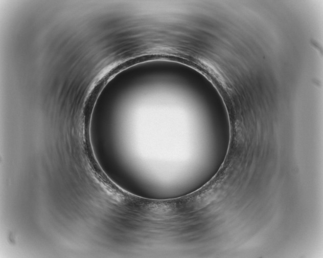 X0000094370931200711021527