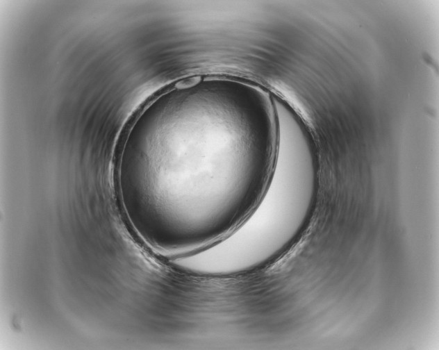 X0000094370932200711021527